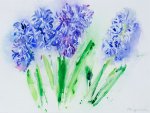 Hyacinths